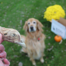 Cargar imagen en el visor de la galería, Cabezas de faisán liofilizadas para perros o gatos (descontinuadas)