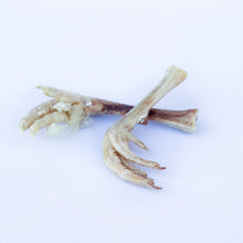 Cargar imagen en el visor de la galería, Pies de faisán liofilizados para perros o gatos, 2 oz